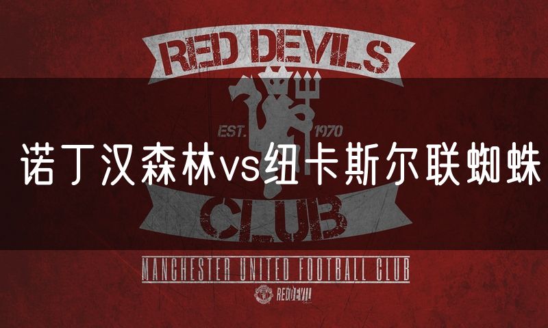诺丁汉森林vs纽卡斯尔联蜘蛛