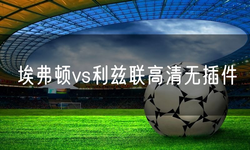 埃弗顿vs利兹联高清无插件