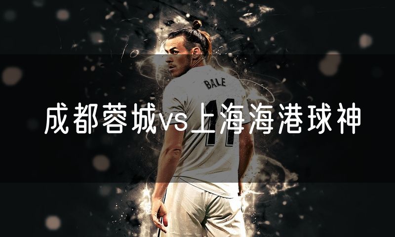 成都蓉城vs上海海港球神
