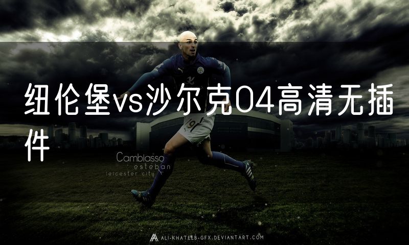 纽伦堡vs沙尔克04高清无插件