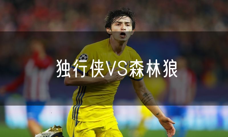 独行侠VS森林狼 独行侠VS森林狼