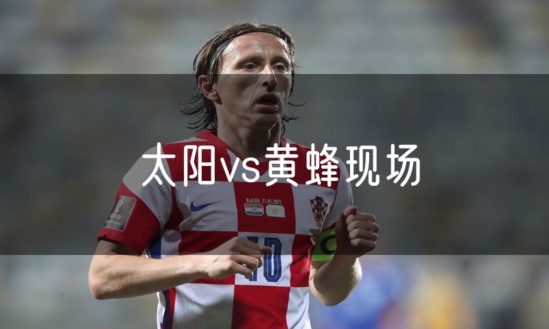 太阳vs黄蜂现场