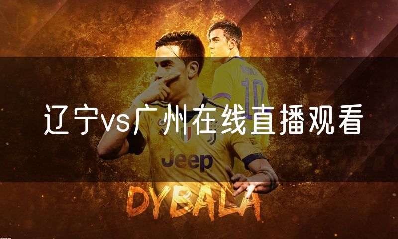 辽宁vs广州在线直播观看 辽宁vs广州在线直播观看