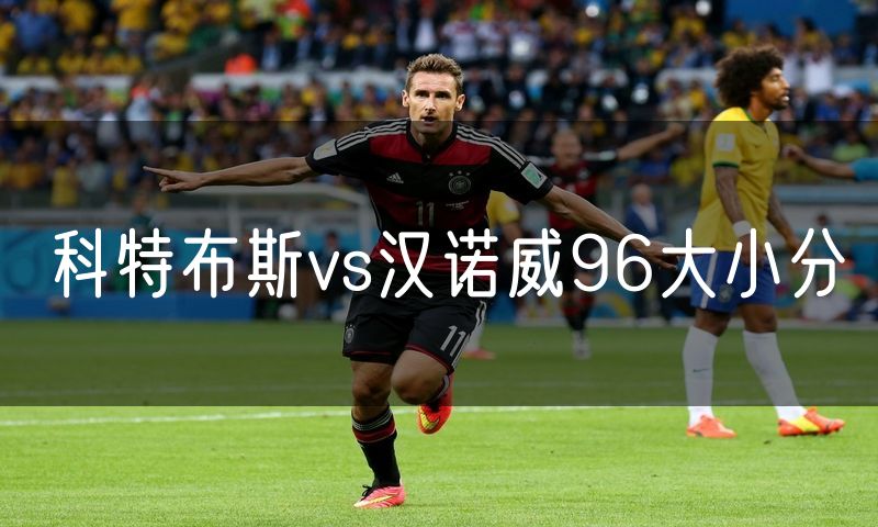 科特布斯vs汉诺威96大小分
