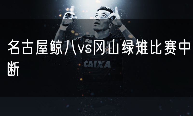 名古屋鲸八vs冈山绿雉比赛中断 名古屋鲸八vs冈山绿雉比赛中断