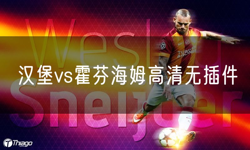 汉堡vs霍芬海姆高清无插件