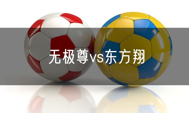 无极尊vs东方翔 无极尊vs东方翔