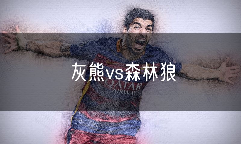 灰熊vs森林狼