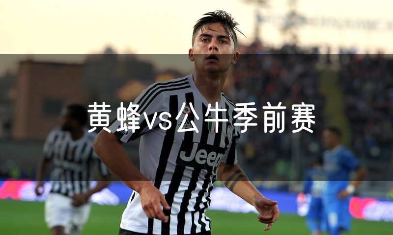 黄蜂vs公牛季前赛 黄蜂vs公牛季前赛