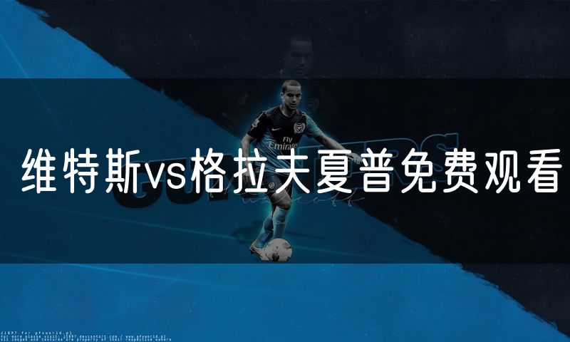 维特斯vs格拉夫夏普免费观看
