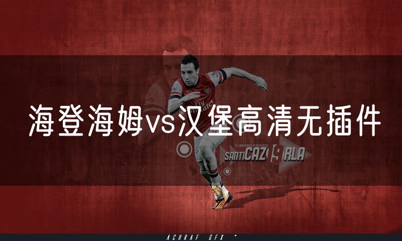 海登海姆vs汉堡高清无插件