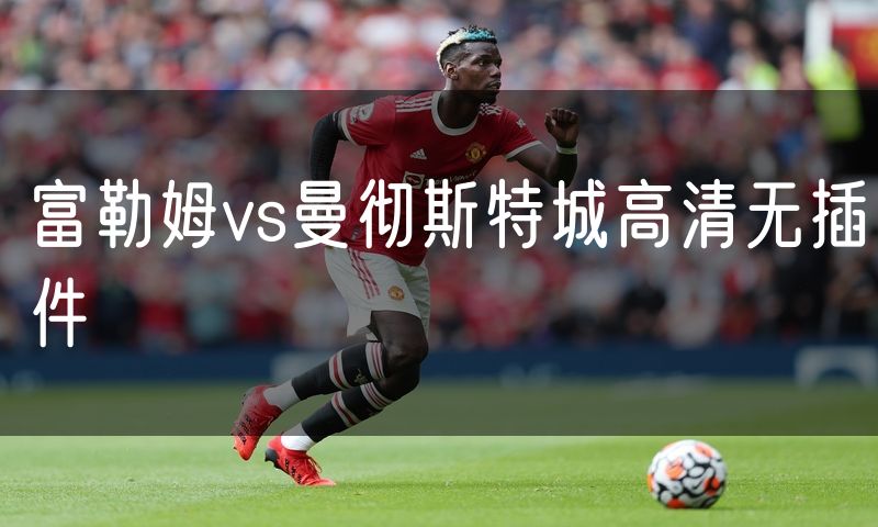 富勒姆vs曼彻斯特城高清无插件