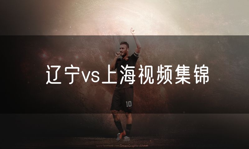 辽宁vs上海视频集锦