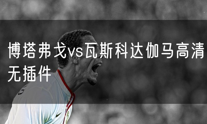 博塔弗戈vs瓦斯科达伽马高清无插件