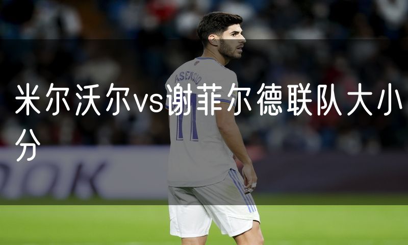 米尔沃尔vs谢菲尔德联队大小分