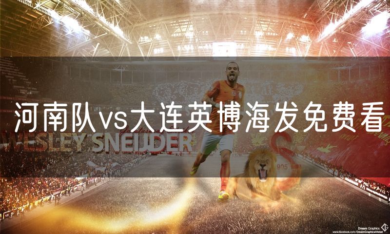 河南队vs大连英博海发免费看