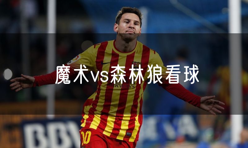 魔术vs森林狼看球
