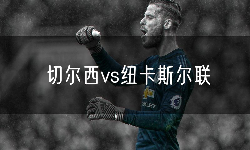 切尔西vs纽卡斯尔联