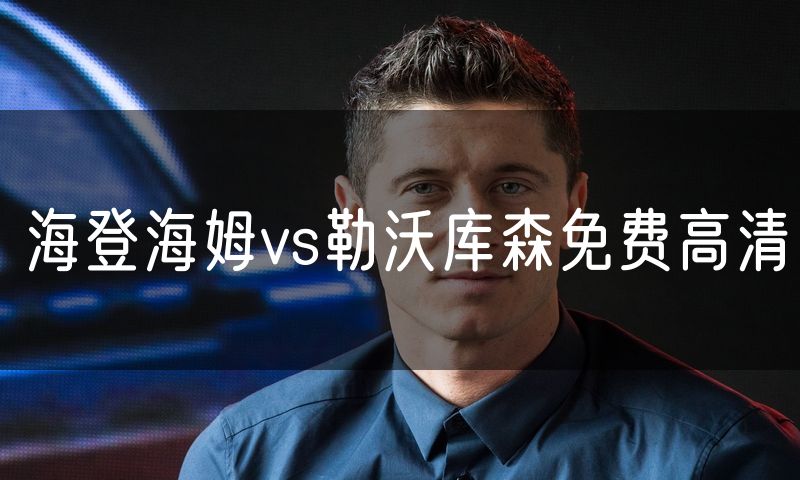 海登海姆vs勒沃库森免费高清