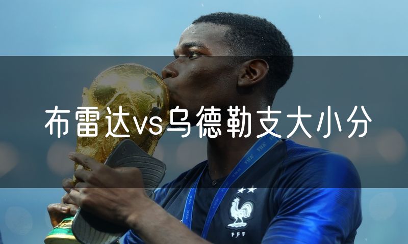 布雷达vs乌德勒支大小分