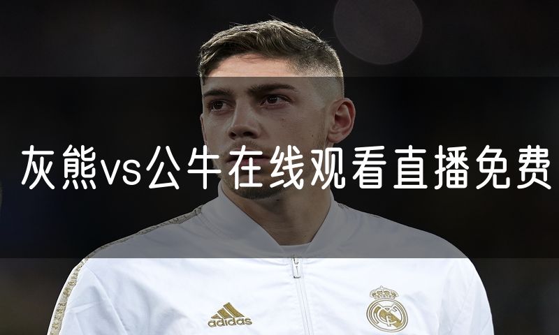 灰熊vs公牛在线观看直播免费