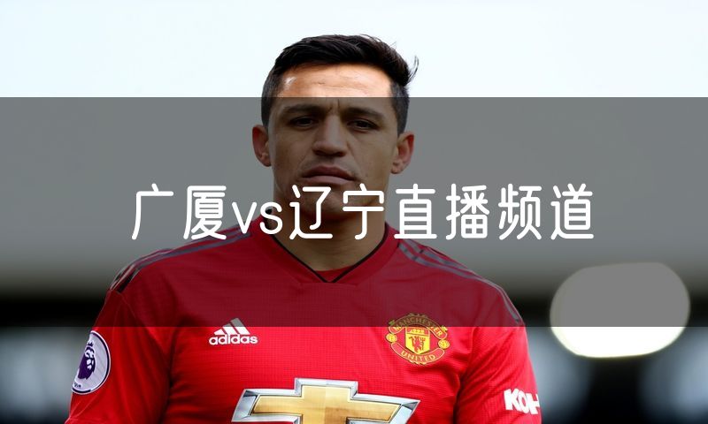 广厦vs辽宁直播频道