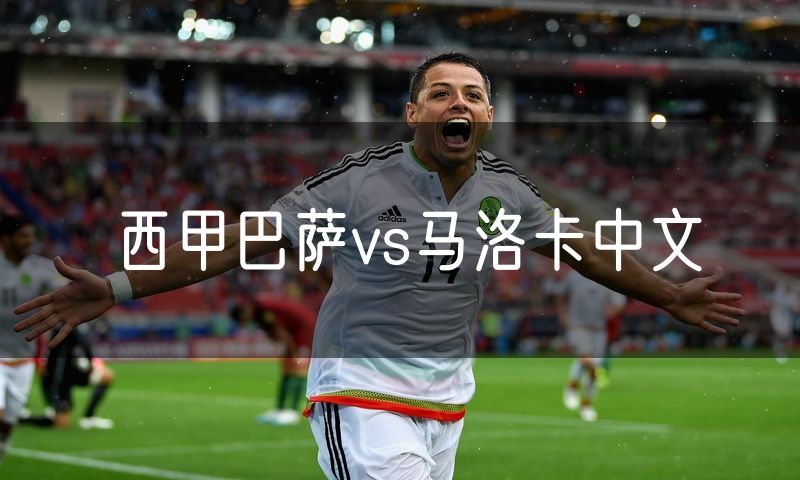 西甲巴萨vs马洛卡中文