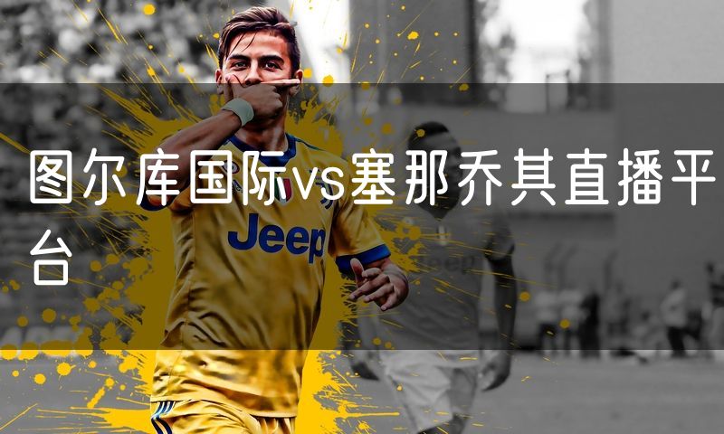 图尔库国际vs塞那乔其直播平台 图尔库国际vs塞那乔其直播平台