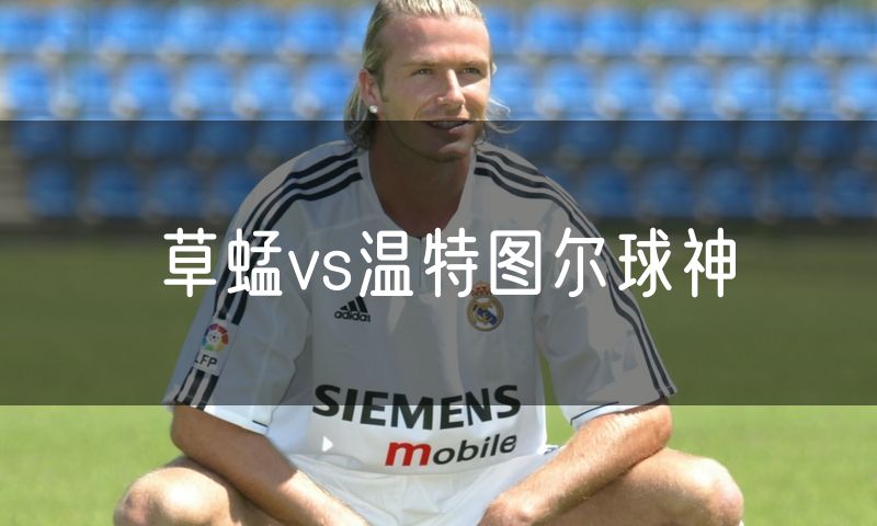 草蜢vs温特图尔球神