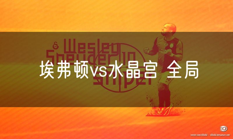 埃弗顿vs水晶宫 全局