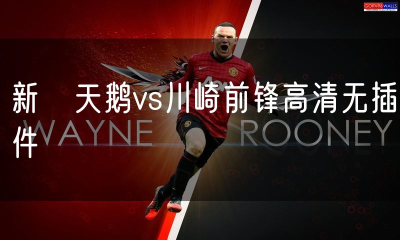 新潟天鹅vs川崎前锋高清无插件