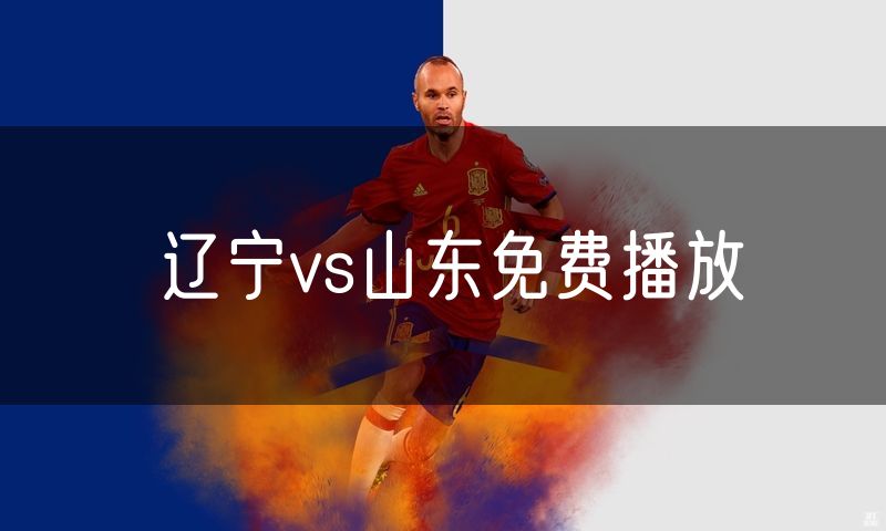 辽宁vs山东免费播放