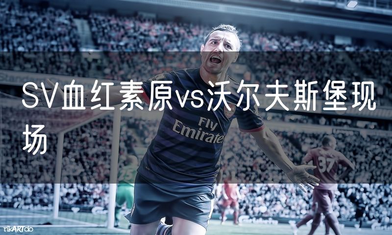 SV血红素原vs沃尔夫斯堡现场