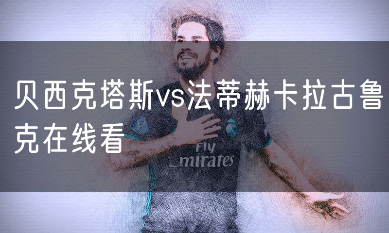 贝西克塔斯vs法蒂赫卡拉古鲁克在线看
