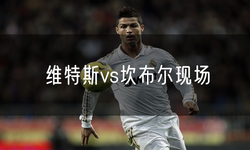 维特斯vs坎布尔现场 维特斯vs坎布尔现场