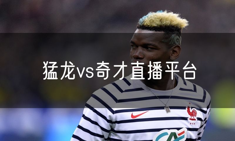 猛龙vs奇才直播平台