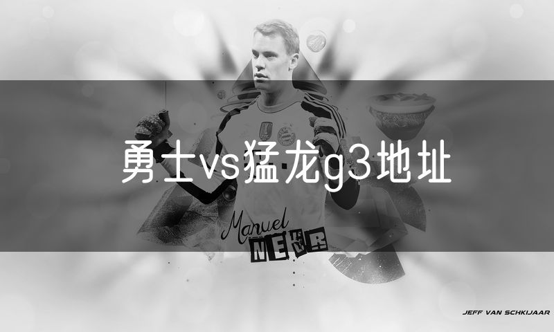 勇士vs猛龙g3地址