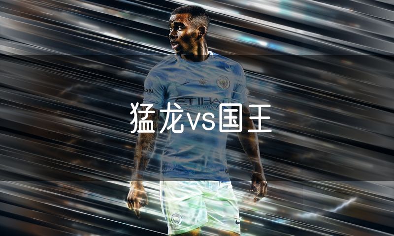 猛龙vs国王