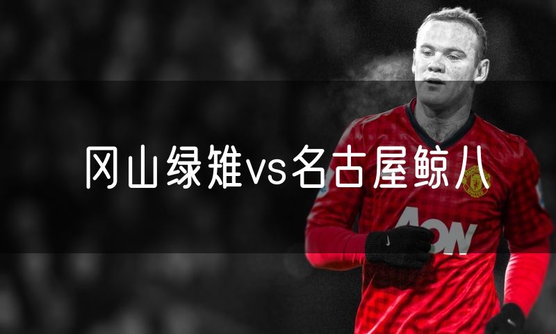 冈山绿雉vs名古屋鲸八 冈山绿雉vs名古屋鲸八