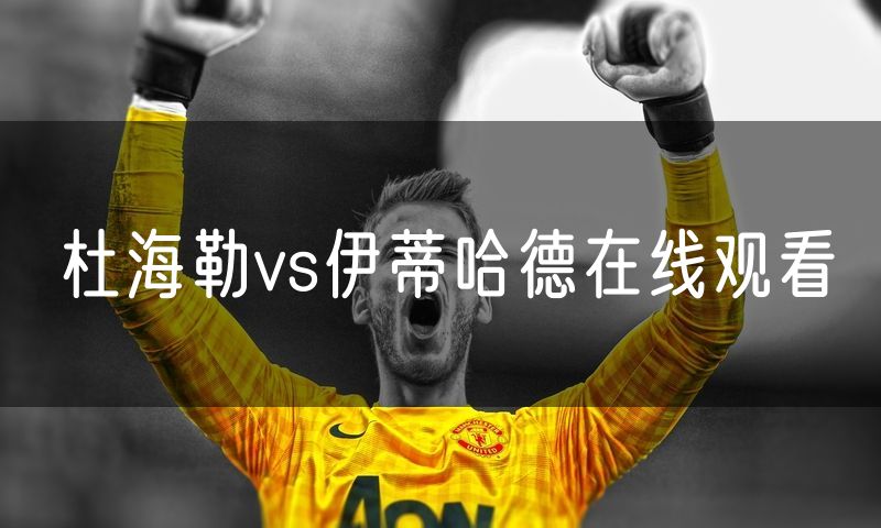 杜海勒vs伊蒂哈德在线观看 杜海勒vs伊蒂哈德在线观看