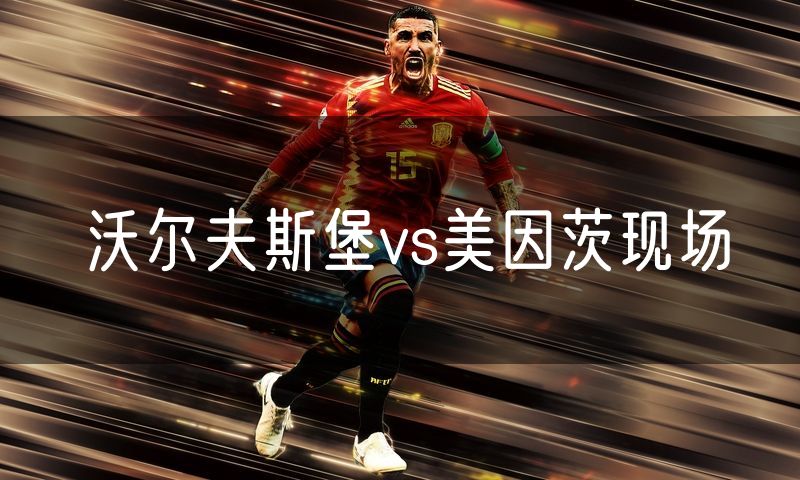 沃尔夫斯堡vs美因茨现场