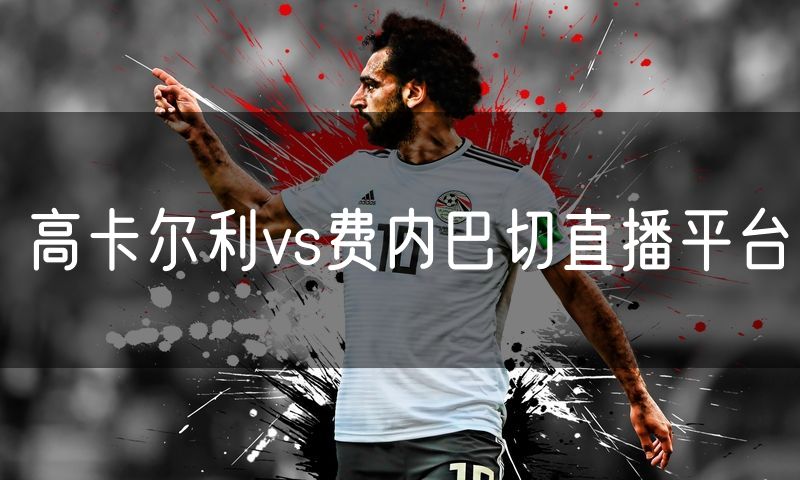 高卡尔利vs费内巴切直播平台