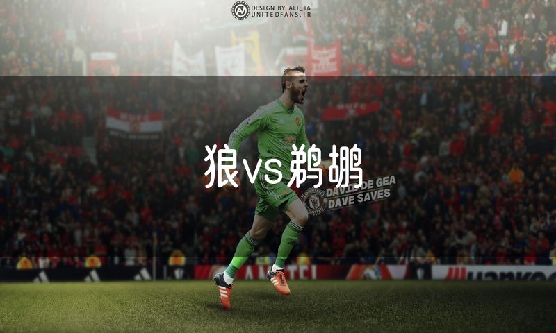 狼vs鹈鹕