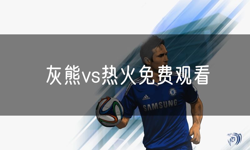灰熊vs热火免费观看