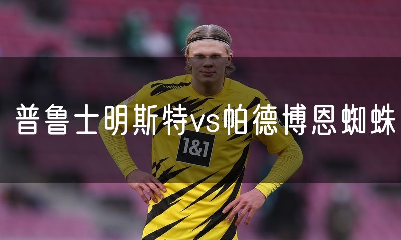 普鲁士明斯特vs帕德博恩蜘蛛
