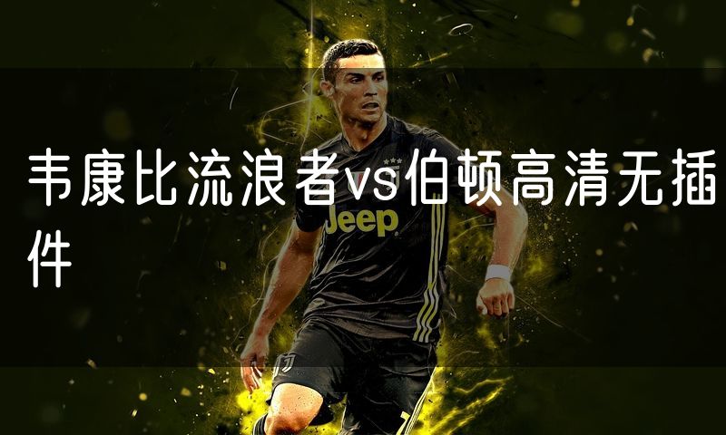 韦康比流浪者vs伯顿高清无插件