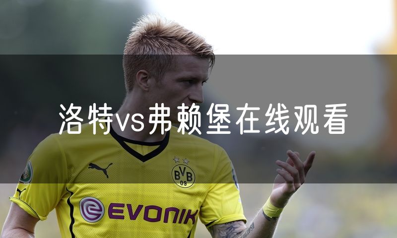 洛特vs弗赖堡在线观看