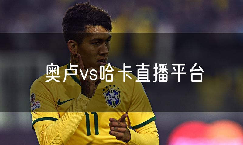 奥卢vs哈卡直播平台