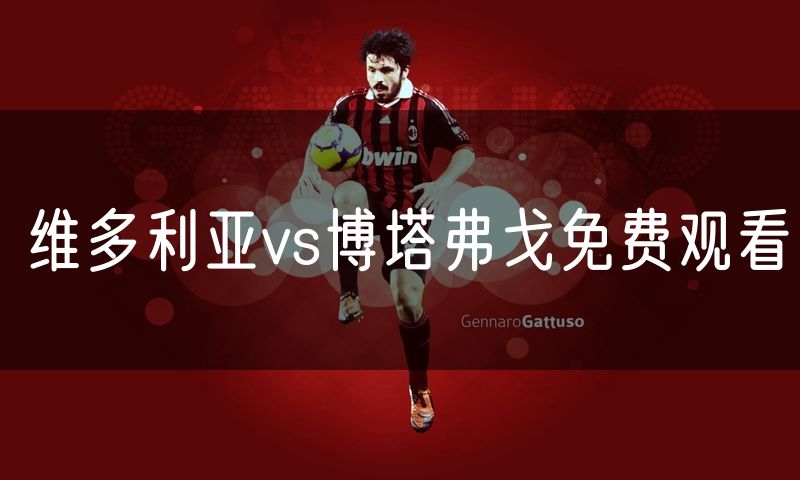 维多利亚vs博塔弗戈免费观看
