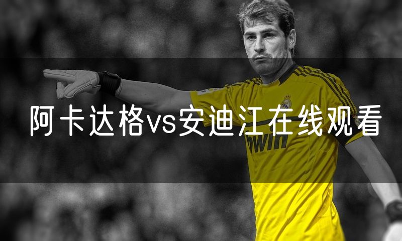 阿卡达格vs安迪江在线观看